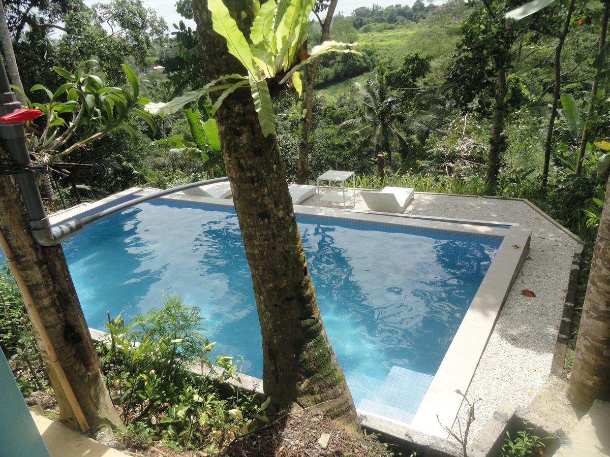 Putu Yoga Bungalow Ubud Exteriér fotografie
