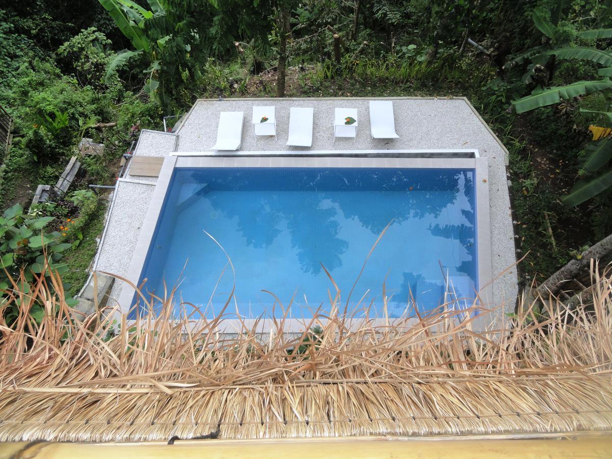 Putu Yoga Bungalow Ubud Bazén fotografie