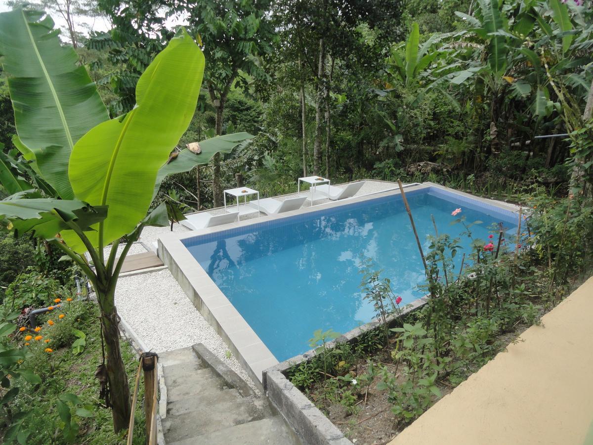 Putu Yoga Bungalow Ubud Exteriér fotografie