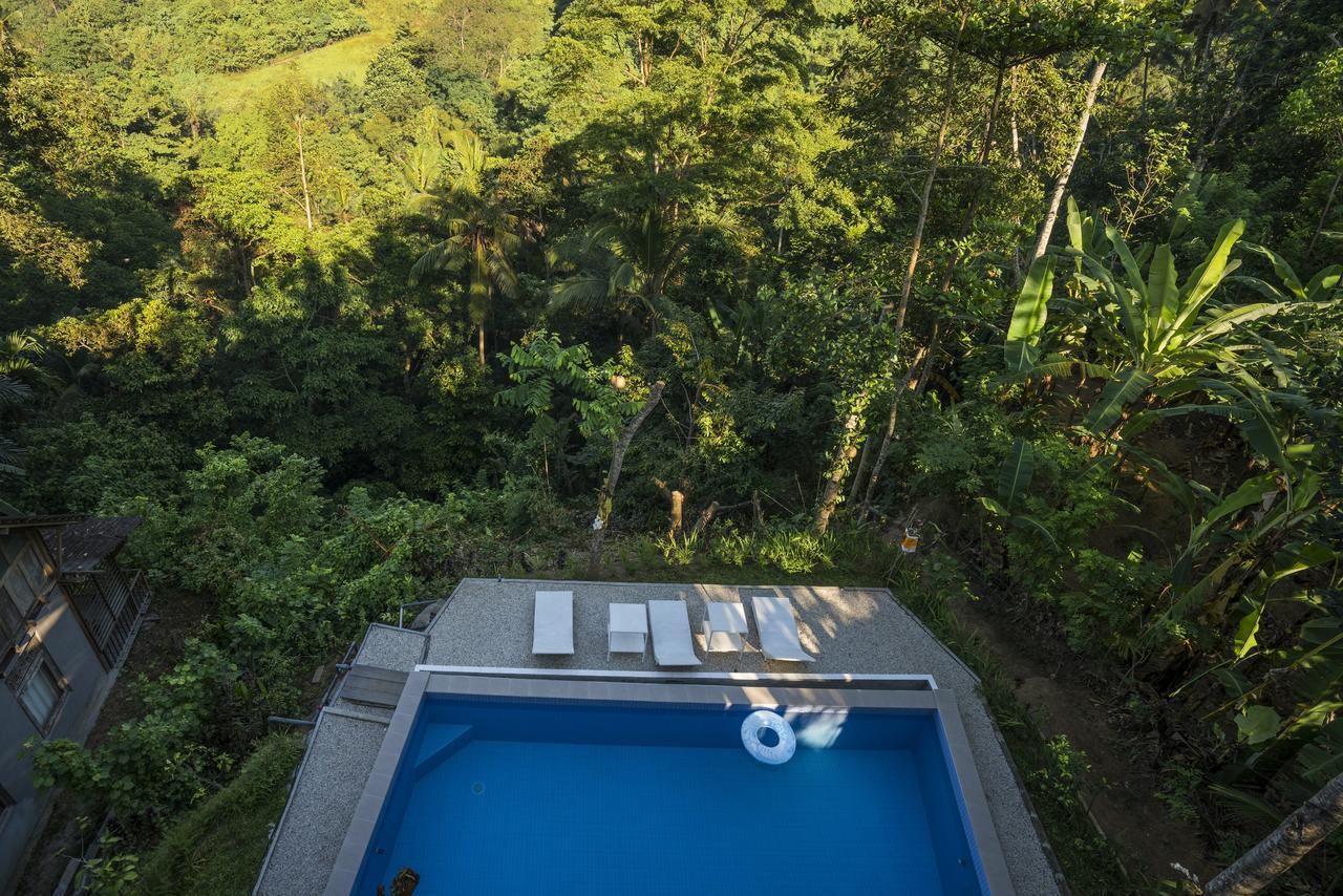 Putu Yoga Bungalow Ubud Exteriér fotografie
